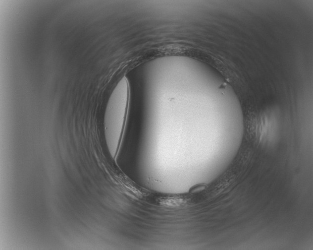 X0000051240759200506170815