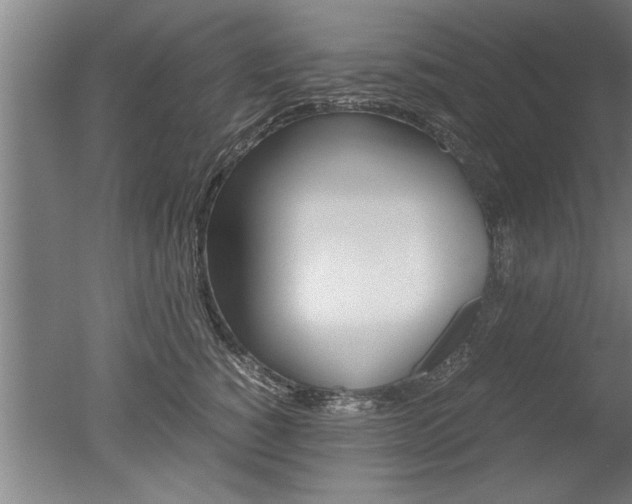 X0000051240760200506170815