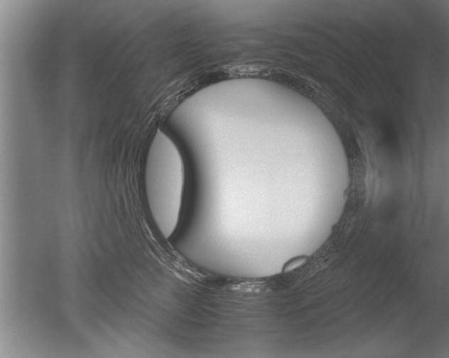 X0000051240761200506170815
