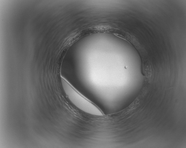 X0000051240762200506170815