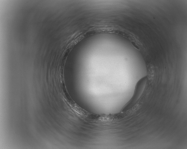 X0000051240764200506170816