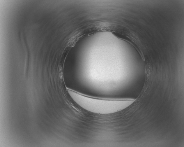 X0000051240766200506170816