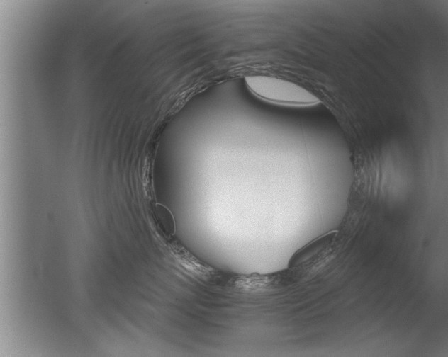 X0000051240767200506170816