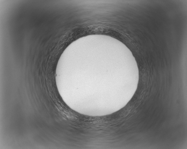 X0000051240769200506170815