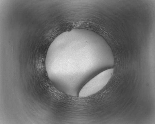 X0000051240770200506170815