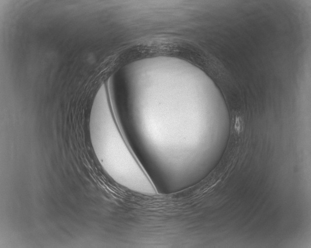 X0000051240771200506170815