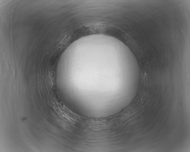 X0000051240772200506170815