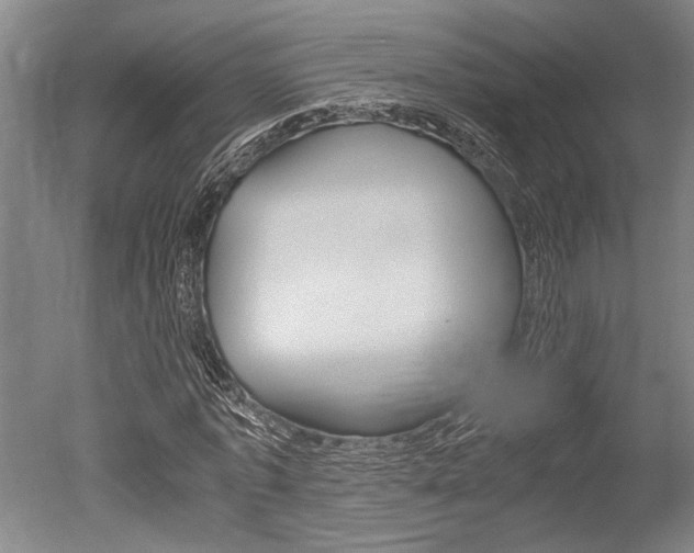 X0000051240773200506170815