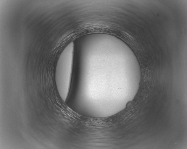 X0000051240774200506170815