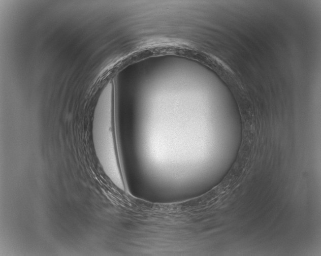 X0000051240775200506170815