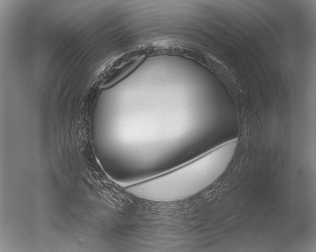 X0000051240776200506170815