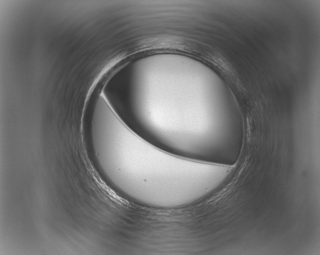 X0000051240780200506170815
