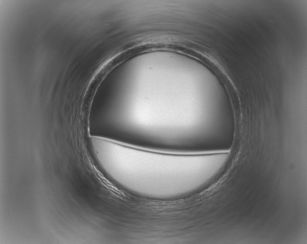 X0000051240783200506170815