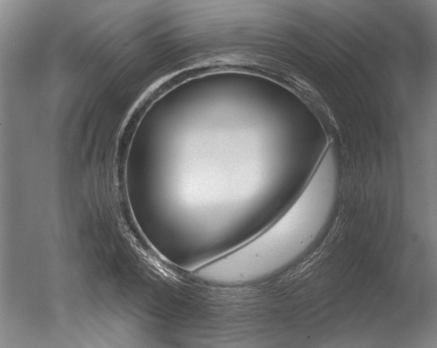 X0000051240784200506170815