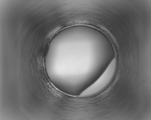 X0000051240785200506170815