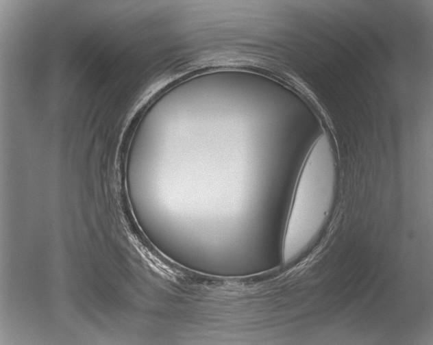 X0000051240787200506170814