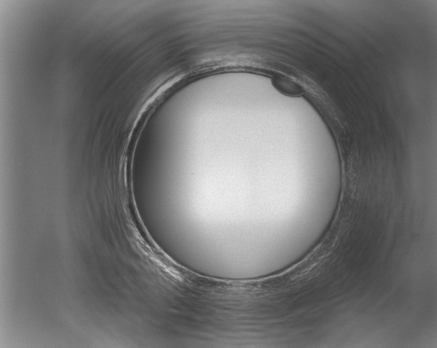 X0000051240790200506170814