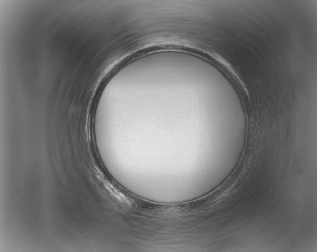 X0000051240791200506170814