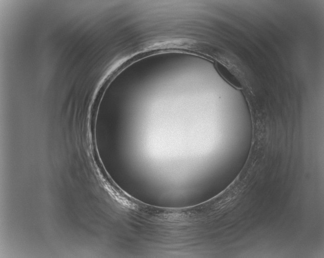 X0000051240792200506170814
