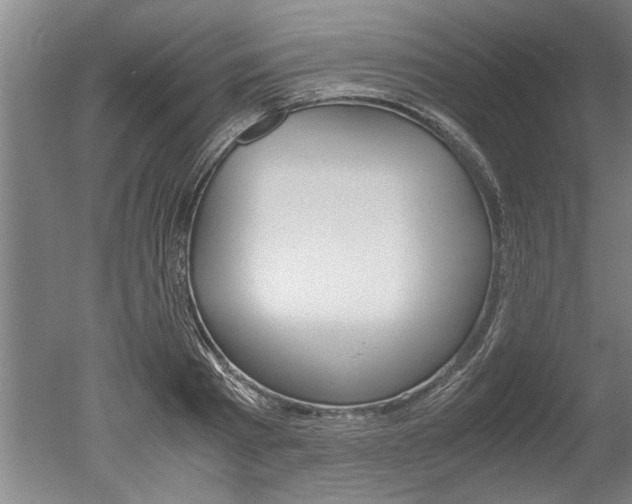 X0000051240793200506170814
