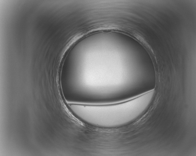 X0000051240797200506170814