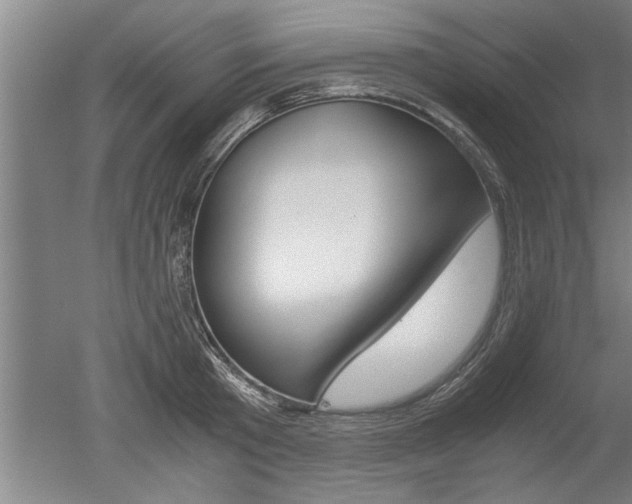 X0000051240801200506170814