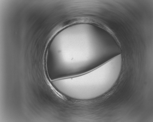 X0000051240803200506170814