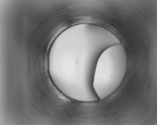 X0000051240804200506170814