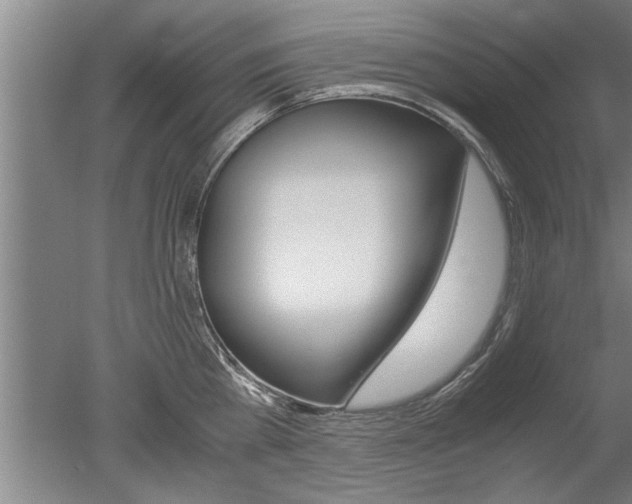X0000051240809200506170814