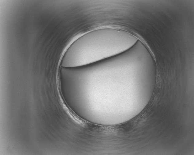 X0000051240811200506170814