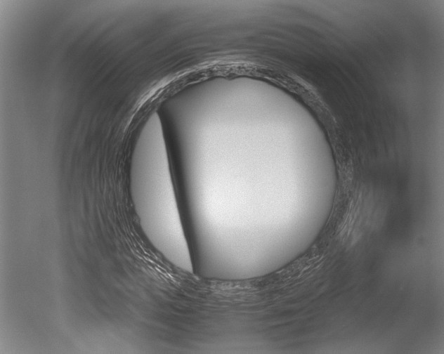 X0000051240823200506170813