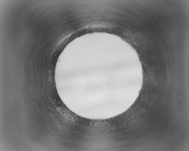 X0000051240824200506170813