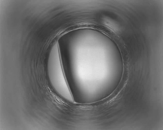 X0000051240825200506170813