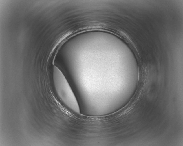 X0000051240827200506170813
