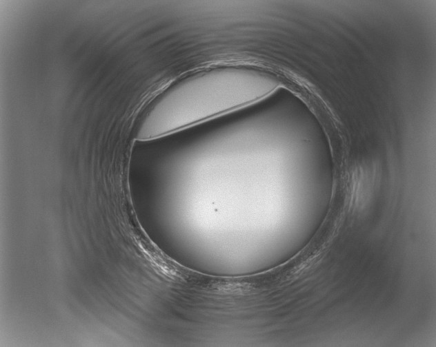 X0000051240833200506170813