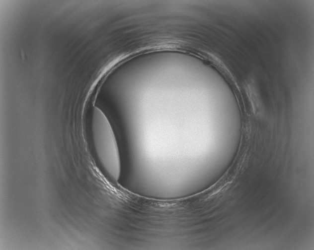X0000051240835200506170813