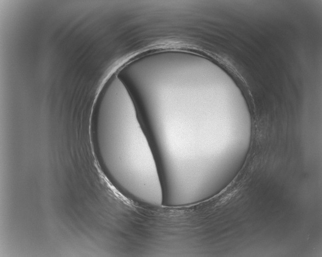 X0000051240839200506170814