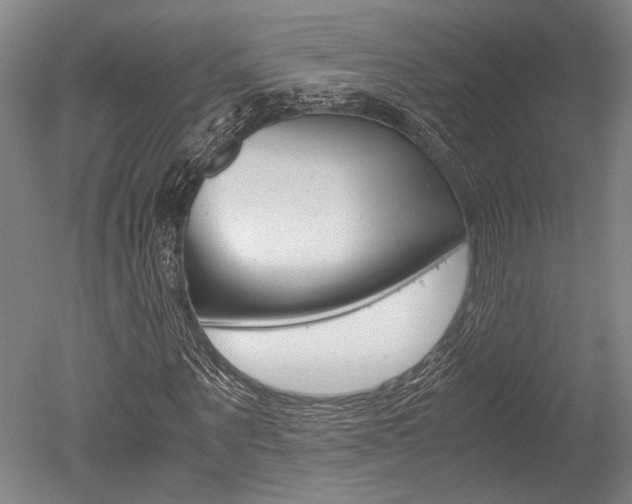 X0000051240867200506170813