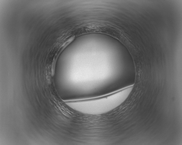 X0000051240868200506170813