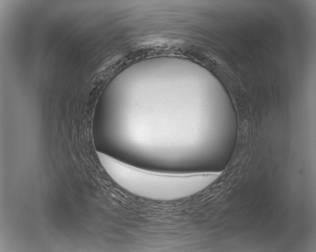 X0000051240869200506170813