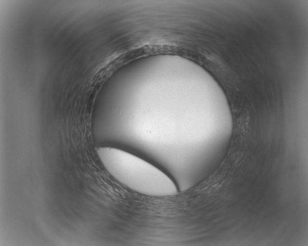 X0000051240870200506170813