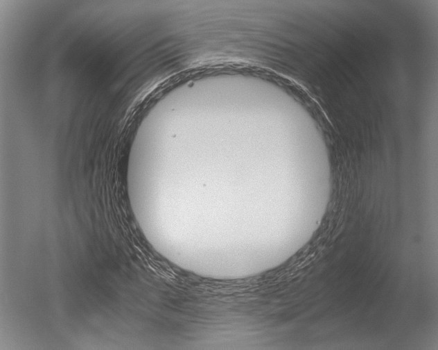 X0000051240871200506170813