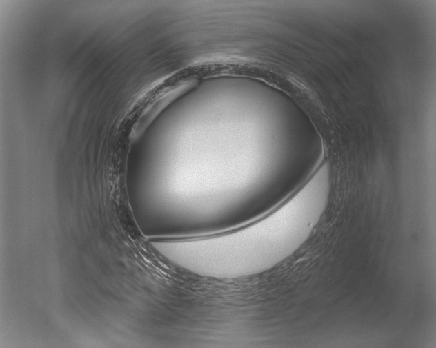 X0000051240872200506170813