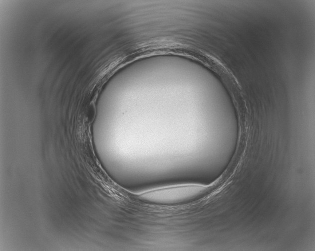 X0000051240873200506170813