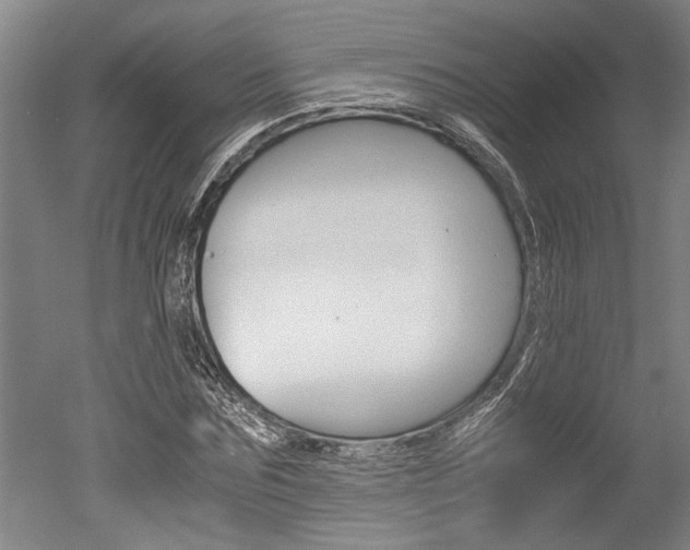 X0000051240875200506170813