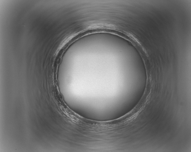 X0000051240877200506170813