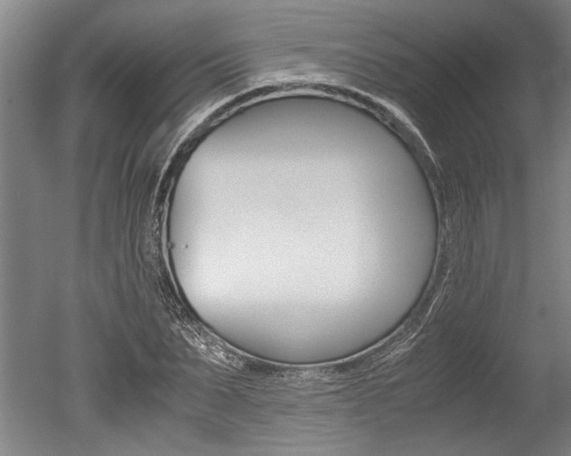 X0000051240879200506170813