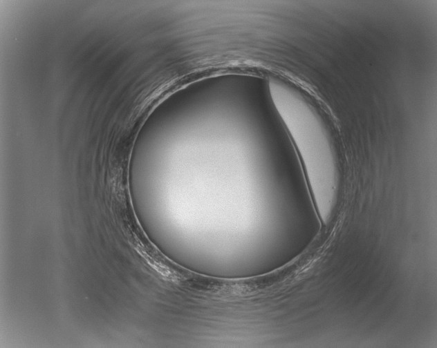 X0000051240881200506170813
