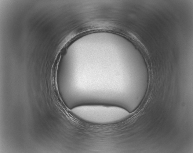 X0000051240883200506170813