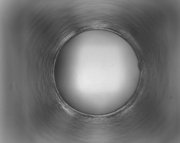 X0000051240889200506170813